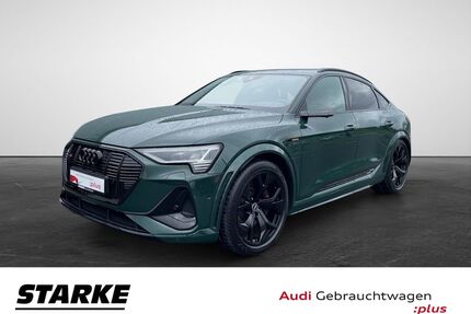 Audi e-tron Gebrauchtwagen