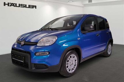 Fiat Panda Gebrauchtwagen