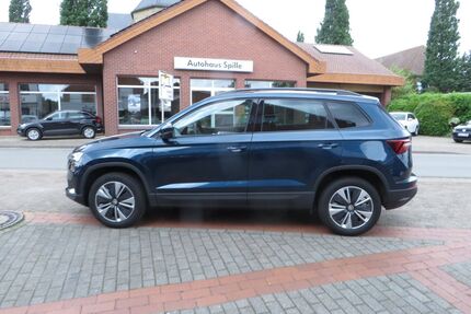 Skoda Karoq Gebrauchtwagen