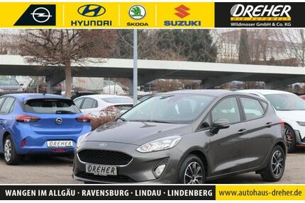 Ford Fiesta Gebrauchtwagen