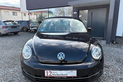 VW Beetle Gebrauchtwagen