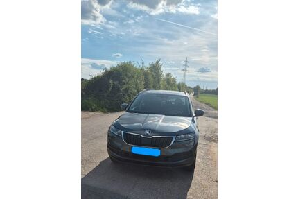 Skoda Karoq Gebrauchtwagen