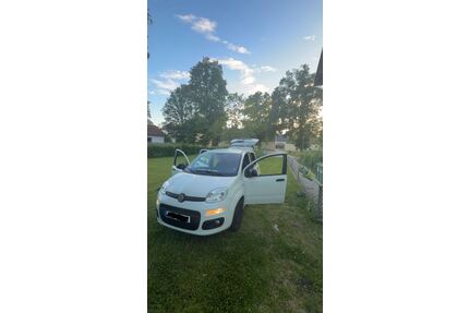 Fiat New Panda Gebrauchtwagen
