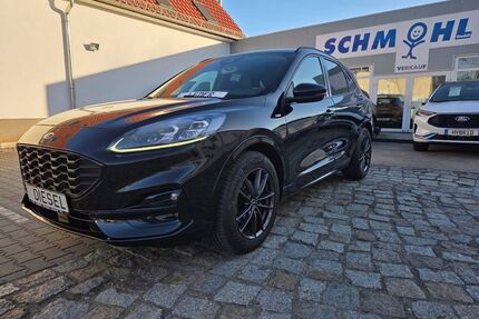 Ford Kuga Gebrauchtwagen