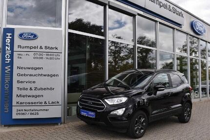 Ford EcoSport Gebrauchtwagen