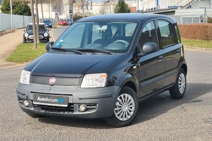 Fiat Panda Gebrauchtwagen