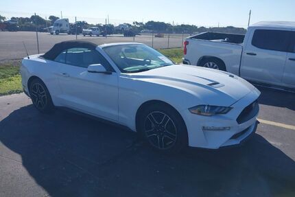 Ford Mustang Gebrauchtwagen