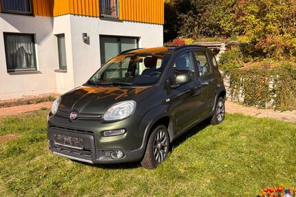 Fiat Panda Gebrauchtwagen