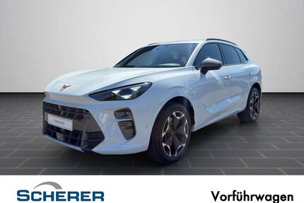 Cupra Terramar Gebrauchtwagen