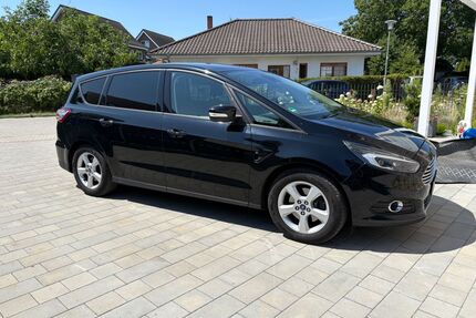 Ford S-Max Gebrauchtwagen