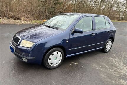 Skoda Fabia Gebrauchtwagen