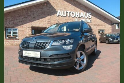 Skoda Karoq Gebrauchtwagen