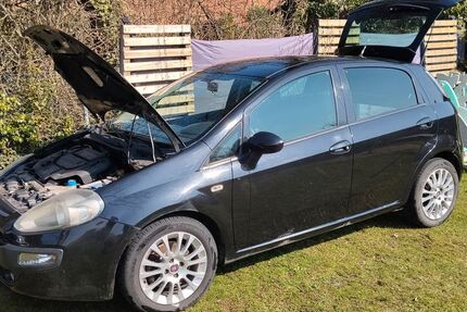 Fiat Punto Gebrauchtwagen