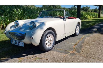 Austin Healey Andere Gebrauchtwagen