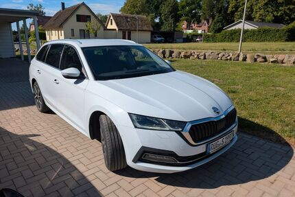 Skoda Octavia Gebrauchtwagen