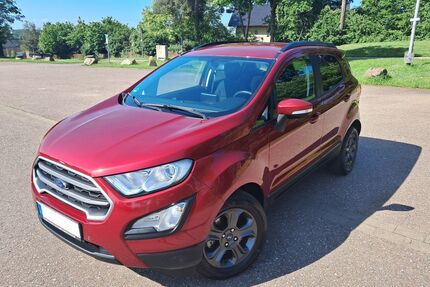 Ford EcoSport Gebrauchtwagen
