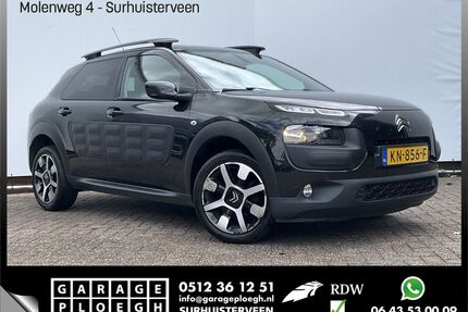 Citroen C4 Cactus Gebrauchtwagen