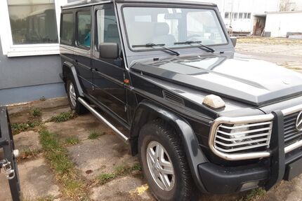 Mercedes-Benz G 350 Gebrauchtwagen