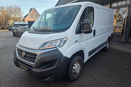 Fiat Ducato Gebrauchtwagen