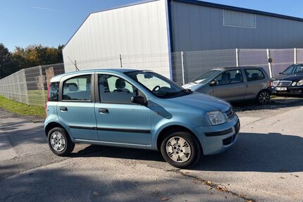 Fiat Panda Gebrauchtwagen