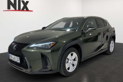 Lexus UX Gebrauchtwagen