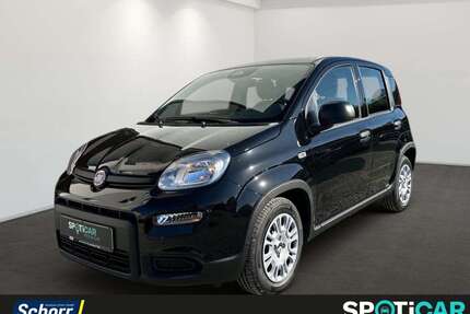Fiat Panda Gebrauchtwagen