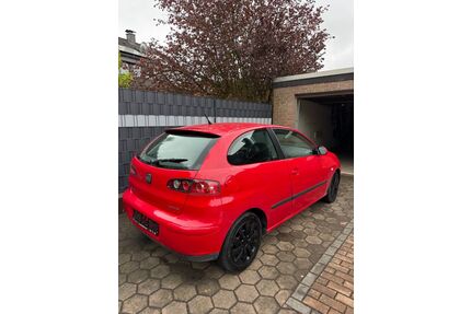 Seat Ibiza Gebrauchtwagen