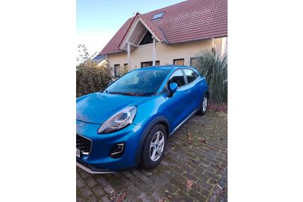 Ford Puma Gebrauchtwagen