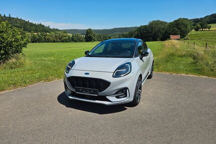 Ford Puma Gebrauchtwagen