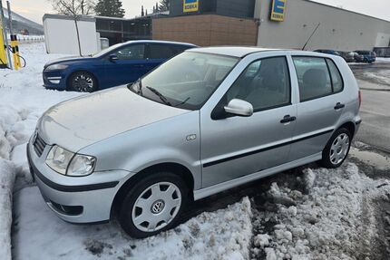 VW Polo Gebrauchtwagen