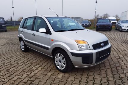 Ford Fusion Gebrauchtwagen