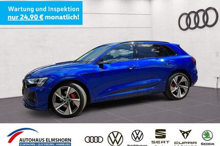 Audi Q8 e-tron Gebrauchtwagen