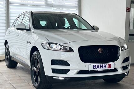 Jaguar F-Pace Gebrauchtwagen
