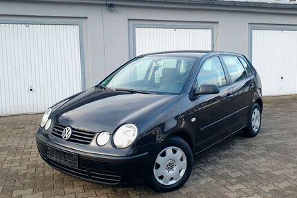 VW Polo Gebrauchtwagen