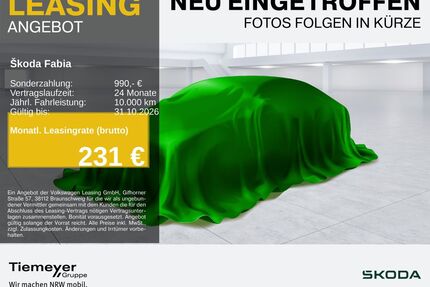 Skoda Fabia Gebrauchtwagen