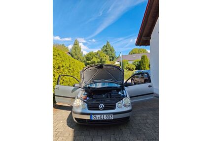 VW Polo Gebrauchtwagen