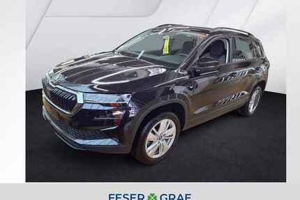 Skoda Karoq Gebrauchtwagen