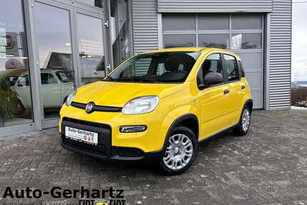 Fiat Panda Gebrauchtwagen