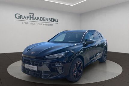Cupra Terramar Gebrauchtwagen