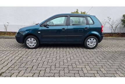 VW Polo Gebrauchtwagen