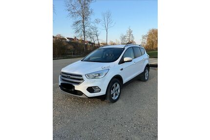 Ford Kuga Gebrauchtwagen