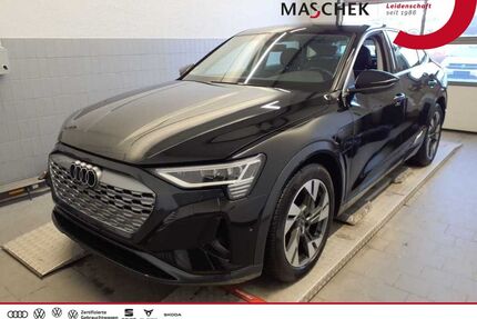 Audi Q8 e-tron Gebrauchtwagen