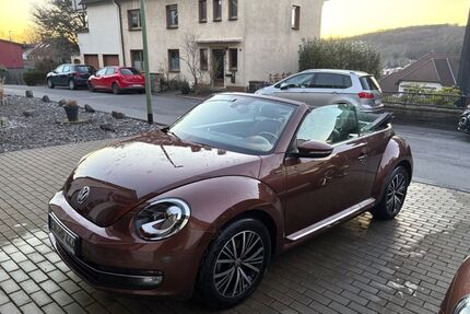 VW Beetle Gebrauchtwagen