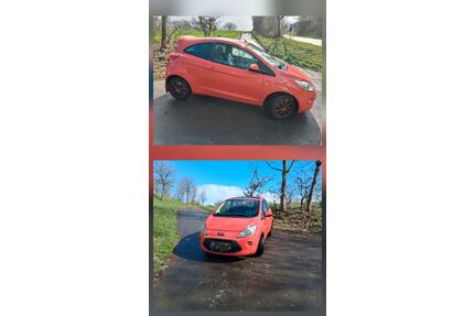 Ford Ka/Ka+ Gebrauchtwagen