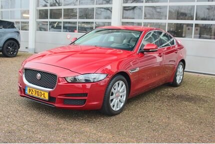 Jaguar XE Gebrauchtwagen