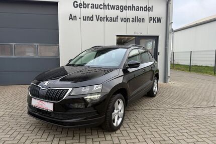 Skoda Karoq Gebrauchtwagen