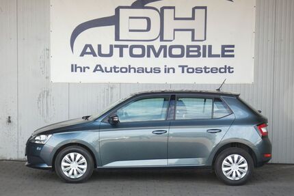 Skoda Fabia Gebrauchtwagen
