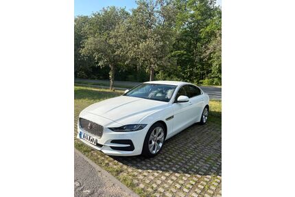 Jaguar XE Gebrauchtwagen