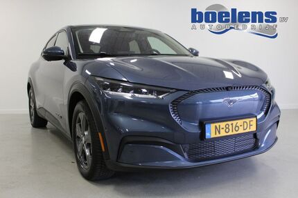 Ford Mustang Mach-E Gebrauchtwagen