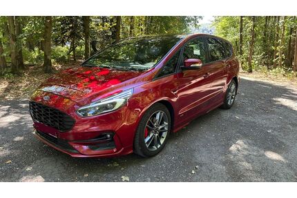 Ford S-Max Gebrauchtwagen